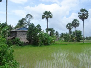Cambodge Paysage